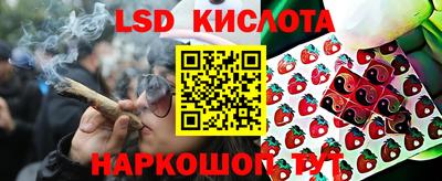 эйфоретик Бузулук