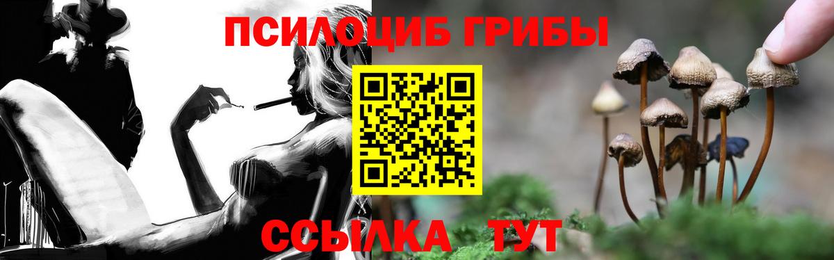 закладки  Псилоцибиновые грибы Magic Shrooms  Вход с VPN  Слободской 